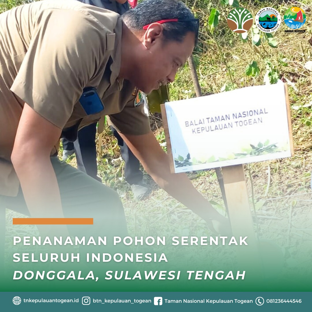 Penanaman Pohon Serentak Seluruh Indonesia Di Donggala, Sulawesi Tengah